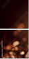 142120127