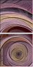 14308380
