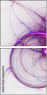 144026994