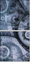 144214489