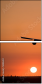 1443651