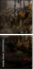 151353353