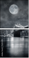 15676398