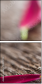 15999770