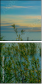 167728360