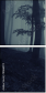 18166974