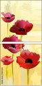 18225514
