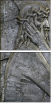 20059102