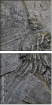 20059228