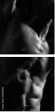 20350082