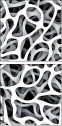 20505205