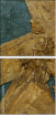 20884913