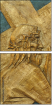 20884971