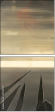21155951