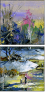 21414524