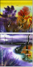 21416871