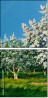 21587802