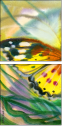 21683658