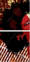 21717214