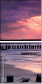 22254013