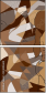 223892600