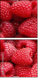 22816665