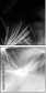 23180311
