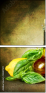 23807311