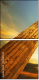 23840333