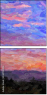 244702406