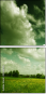 24481115