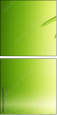 24604585