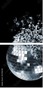 24792295