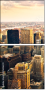 25836231