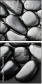 25876138