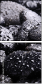25878336