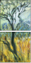 26973038