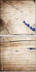 27029700