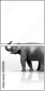 29095081