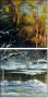 29135595