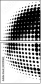29211462
