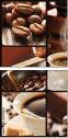 29331456