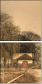 29517510