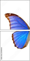 29644334