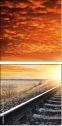 29892519