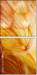 30258126