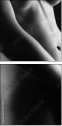 30291161