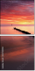 30759010