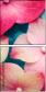 30909290