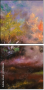 31218636